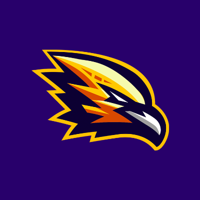 Logo BET FALCONS